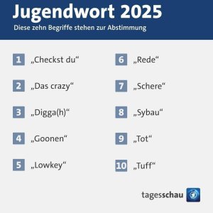 Lowkey Schere