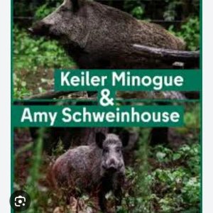 Die spinnen die Berliner