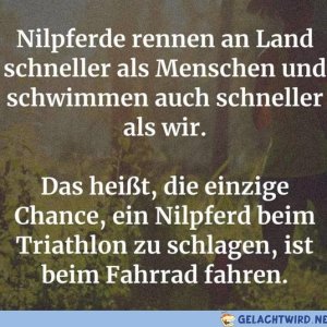 Nilpferd