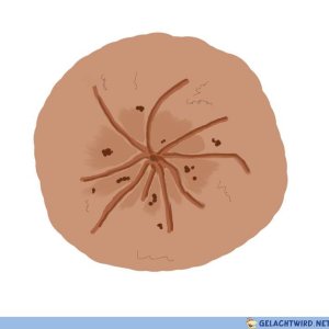 Der ist für Michel Dudikopp