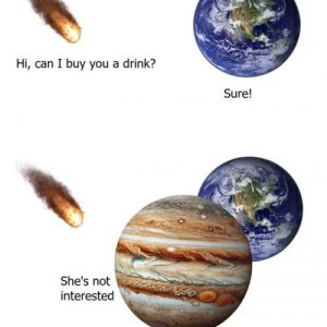 Immer diese Landwale