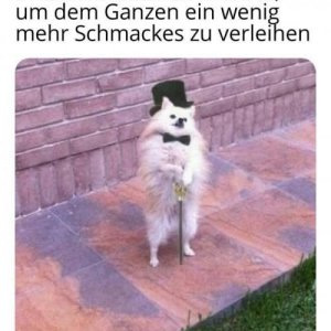 DER HUNT!!!111einself