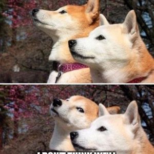 Och nööö