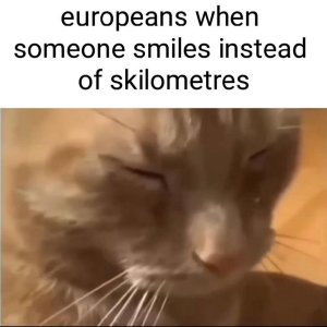 djfrkjkjkj.jpg
