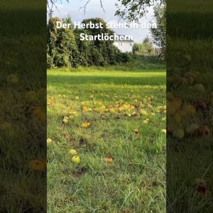 Der Herbst steht in den Startlöchern
