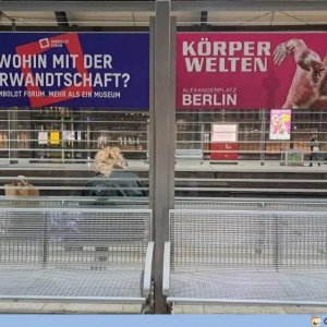 Da haben die wenigstens noch einen Nutzen