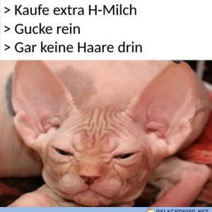 Schade