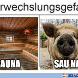 Saustarke VWG