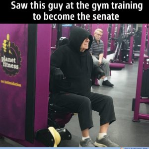Palpi im Gym