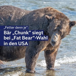 Diker ber