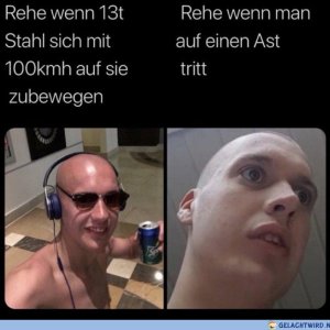 Das Re