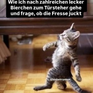 Kann ich gut verstehen