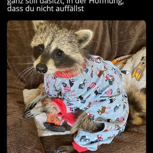 klappte erstaunlich oft