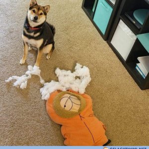 Oh nein...