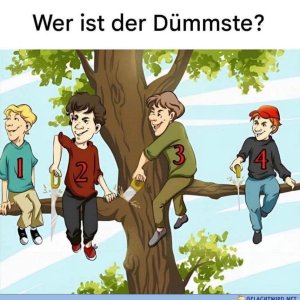 Zuerst dachte ich 4, aber nach längerem Nachdenken finde ich die Antwort ziemlich schwierig