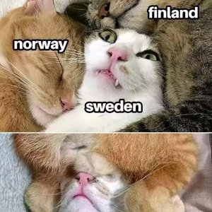 Der Däne ist da, wo er auch hingehört.