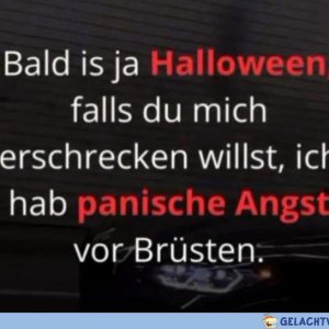 Frisch aus der Ü40-Gruppe