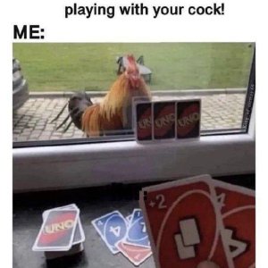 Playing with cock