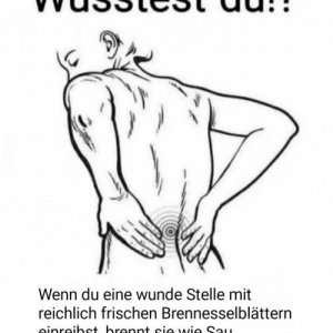 Tipp der Woche