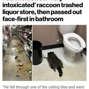 Ottens WE war mal wieder lit