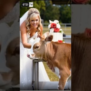 etzerdla sendet jetzt nur noch scheiße ein