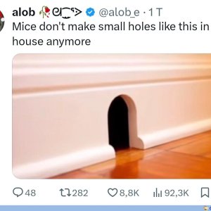 Jetzt wo ers sagt 🤔