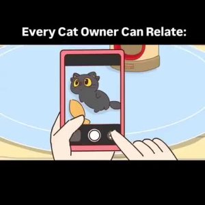 Katze macht Katensachen