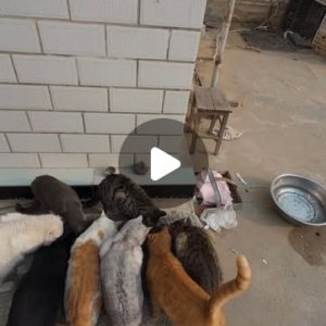 Wähle deine neue Kadse