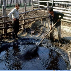 Skeletor macht Ferien auf dem Bauernhof
