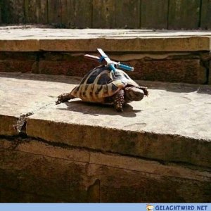 Wohin des Wegs, Leonardo?