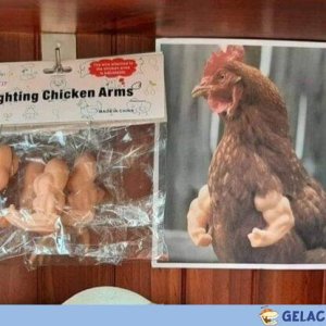 Ein Must-Have für jeden Hahn