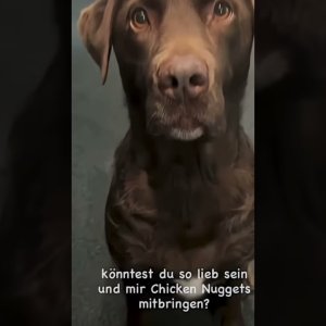 Einbrecher sollten nicht vergessen