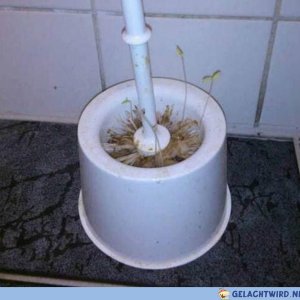 Neulich auf der Toilettentournee