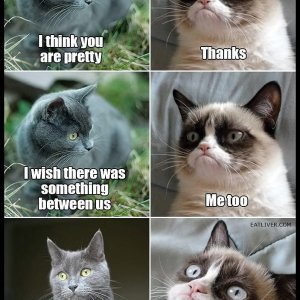 I wish there was something