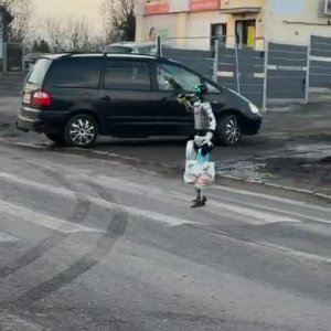 KI nach einer Woche in Polen