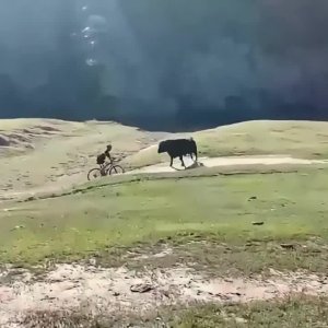 Wieso sind Radfahrer so dumme Spasten?
