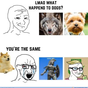 what happened to men?