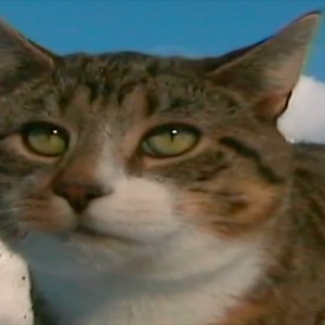 maybe in another life