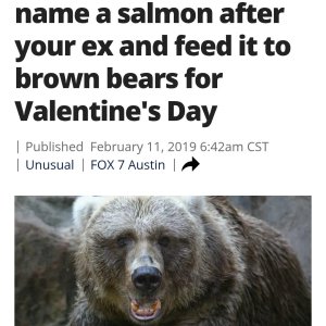 Es ist Montag / Lachse im wörtlichen Sinne