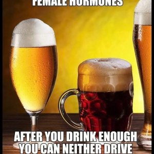 Weibliche Hormone im Bier