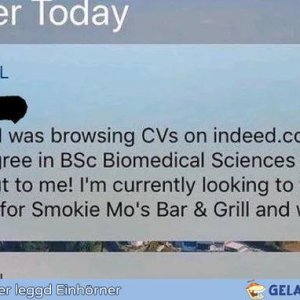 BSc Biomedical Sciences