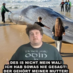 Des is nicht mein Wal!