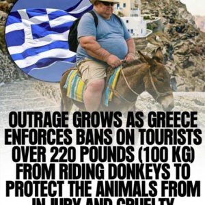 Die Engländer beschweren sich schon