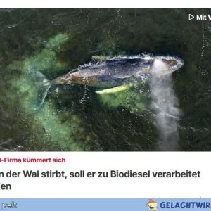 Ich tanke nur Timmy!