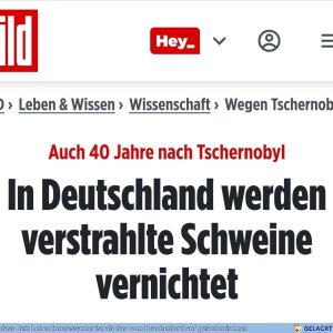 Zum Glück haben sie mich nicht erwischt
