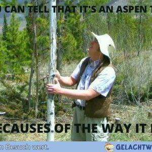 Wissenschaft ist einfach