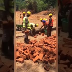 Fiele fleißige Fachkräfte