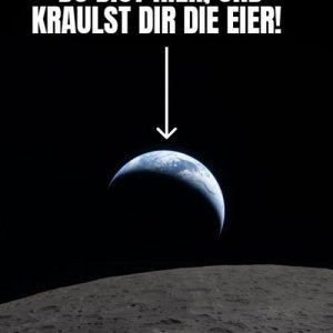 Panic leggt auf dem Blaneddn Eier