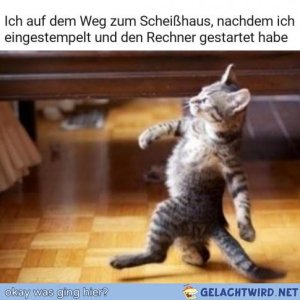 Kadse geht Kaggn.jpg