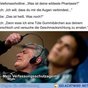 Verfassungsschutz.jpg